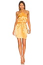 view 1 of 3 Marrone Dress in Citron
