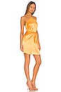 view 2 of 3 Marrone Dress in Citron