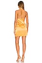 view 3 of 3 Marrone Dress in Citron