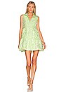 view 1 of 3 Pierre Dress in Cucumber