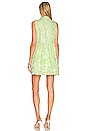 view 3 of 3 Pierre Dress in Cucumber