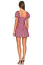 view 3 of 3 Bryla Dress in Pink Multi