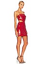 view 2 of 4 Chrisley Mini Dress in Ruby