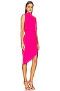 view 2 of 3 Fabianna Midi Dress in Hot Pink