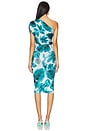 view 4 of 4 Dupree Midi Dress in Palm Print