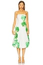 view 1 of 3 Tivoli Dress in Sendai Print