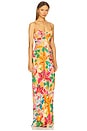 view 2 of 3 Janeiro Maxi Dress in Botanico