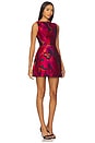 view 2 of 3 Banco Dress in Pink Multi