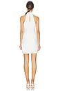 view 4 of 4 Chantel Dress in Ivory