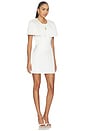 view 3 of 4 Elyna Capelet Dress in Ivory