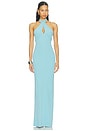 view 1 of 3 Samara Maxi Dress in Skylark