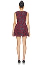 view 4 of 4 Banco Dress in Rosette Combo
