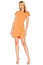 view 1 of 3 Whistler Dress in Papaya
