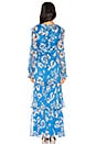 view 3 of 3 Janelle Maxi Dress in Fairfield