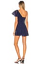 view 3 of 3 McKinnon Dress in Navy Gingham