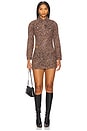 view 5 of 6 Dallyn Skort in Brown Paisley