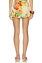 view 4 of 6 Mariko Shorts in Dominica Scarf Print