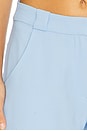 view 6 of 6 CALÇAS SADDLER in Baby Blue