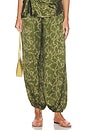 view 1 of 7 Torrie Pants in Christina Print
