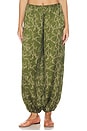 view 2 of 7 Torrie Pants in Christina Print
