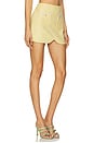 view 2 of 6 Caligari Skirt in Yellow