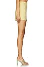 view 3 of 6 Caligari Skirt in Yellow