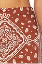 view 6 of 6 Hope Skirt in Montana Print