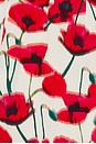 view 4 of 4 Tisha Romper in Poppy Field
