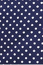 view 5 of 5 x REVOLVE Empire Top in Navy Polkadot