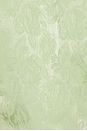 view 5 of 5 Lina Top in Aloe