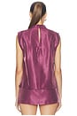 view 4 of 4 Sleeveless Fabienne Top in Berry