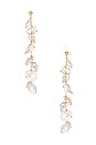 view 1 of 3 BOUCLES D'OREILLES MILLER in Gold