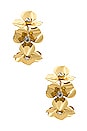 view 3 of 3 AROS SERENA in Gold