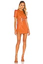 view 1 of 3 Incantations Mini Dress in Terracotta