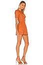 view 2 of 3 Incantations Mini Dress in Terracotta