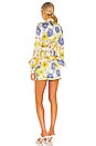 view 3 of 3 Dream Mini Dress in Floral