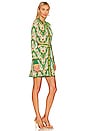 view 2 of 4 Amari Mini Dress in Green Apple