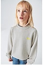 view 3 of 3 Kodytown Pullover Sweatshirt in Polaire Chine