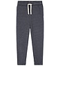 view 1 of 3 Doven Sweatpant in Carbone Surteint