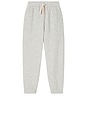 view 1 of 3 Kodytown Sweatpant in Polaire Chine