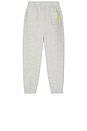 view 2 of 3 Kodytown Sweatpant in Polaire Chine