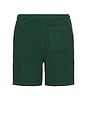 view 2 of 5 Rygybay Shorts in Forest