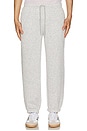 view 4 of 6 Evona Sweatpants in Gris Clai Chine