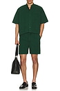 view 4 of 4 Rygybay Button Down Shirt in Forest