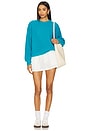 view 4 of 4 Crashway Sweater in Tropical