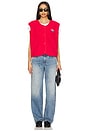 view 4 of 5 Hoktown Vest in Fraise