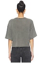 view 4 of 4 Bepow Cropped Tee in Vintage Artvin in Vintage	Artvin