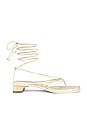 view 1 of 5 Allegra Lace up Sandals in Ivory