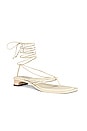 view 2 of 5 Allegra Lace up Sandals in Ivory