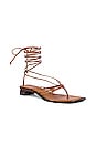 view 2 of 5 Allegra Lace up Sandals in Tan